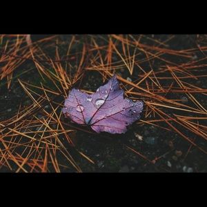 Meet your Posher, Katlyn